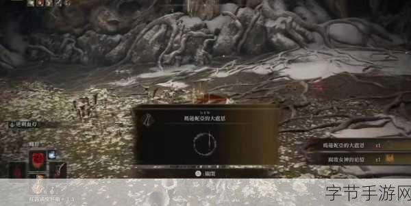 探索艾尔登法环,寻找仿生泪滴的奇幻之旅👀