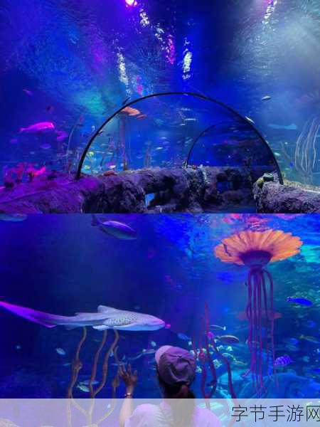 探索神奇海洋,手游中的神秘世界😜