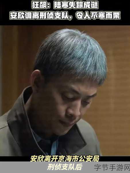 狂飙风云,探索安欣结局之谜🎮