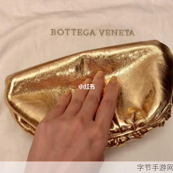 荷兰少归BVBV:荷兰少归BVBV如何影响球队未来发展