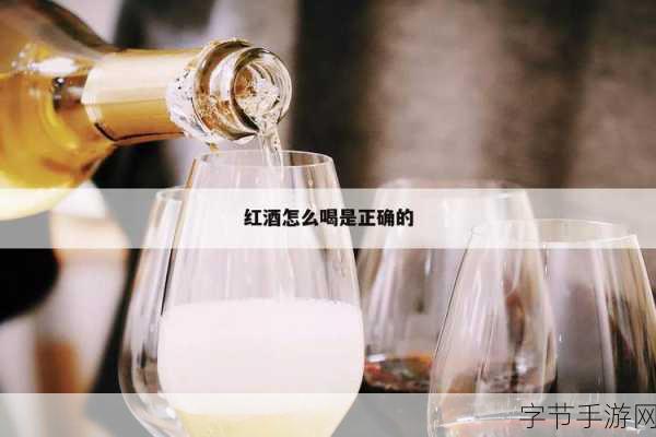 红酒装不下了1V2的解决方案：红酒装不下了的1V2解决方案全面解析