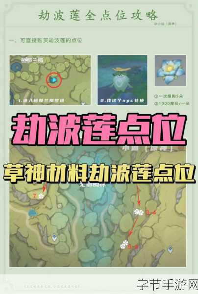 探索原神劫波莲的神秘采集之旅🎮