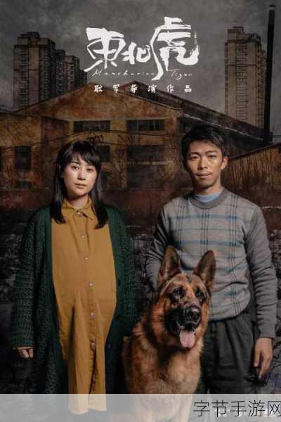 最近最好的2019中文:2019年最好看的中文电影推荐与观影指南