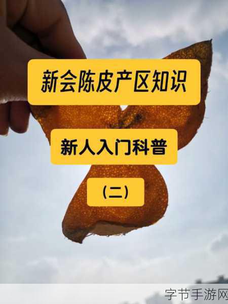 一线产区和二线产区的知名品牌：一线与二线产区知名品牌的对比分析