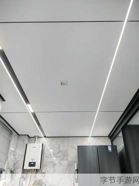 疯狂厨房双人模式玩法视频教程：疯狂厨房双人模式全攻略视频教程分享与技巧解析