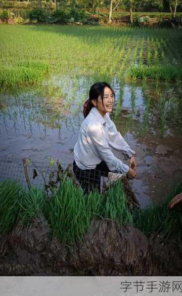 情侣插秧的100种方法:巧妙创造浪漫的情侣插秧100种创意方法