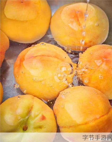 79国精产品水蜜桃hd：79国精产品水蜜桃hd带你体验夏日清新美味