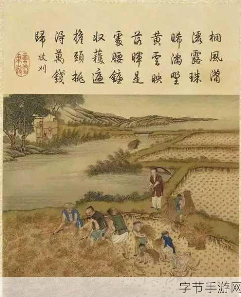 芒种探秘，古人的奇妙世界