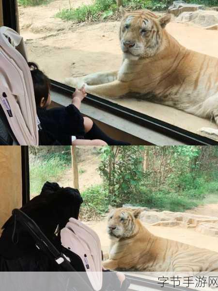 探索沙窝萝卜的神秘原产地😜