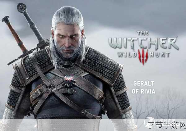 巫师 3 版本大揭秘，你选对了吗？😜