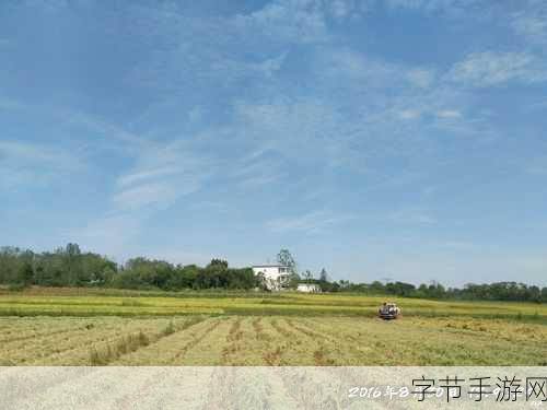 探索水稻产量的奥秘，百粒重与亩穗数😜