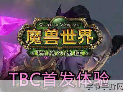 探索 TBC 防骑拉怪的神秘技巧👀