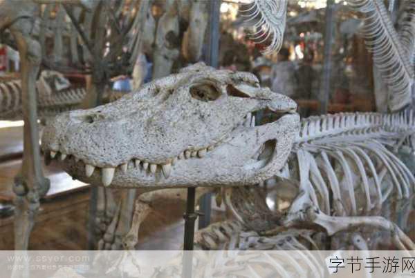 探秘神奇动物世界，活化石的奥秘😜