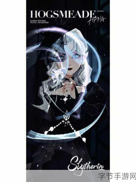 探索哈利波特魔法觉醒拼图的奇妙世界😜