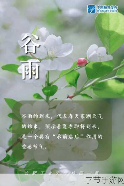 探索手游世界，雨生百谷的节气奥秘😜