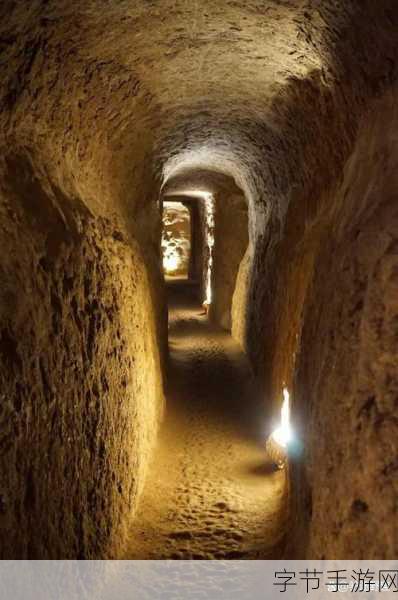 探秘海洋之舟,手游中的神秘之旅😜