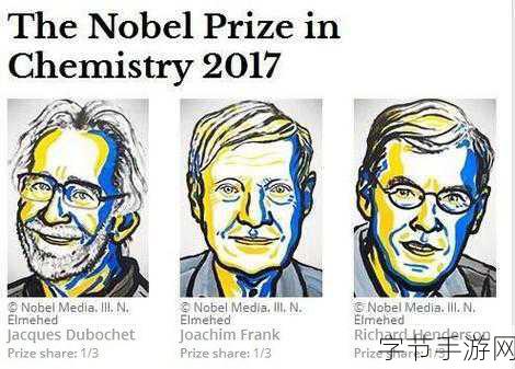 探索诺贝尔奖未知领域,未设奖项之谜👀