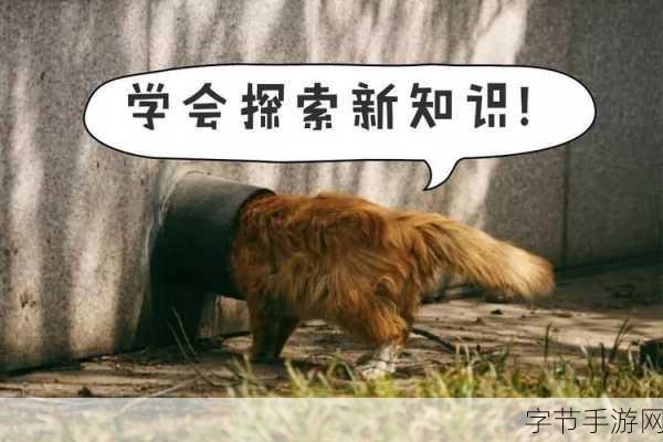 探索退钱哥表情包的奇妙世界😜