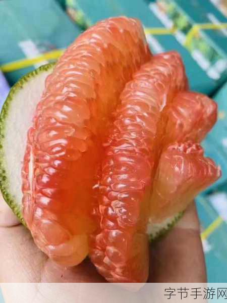 奇幻水果大冒险，探索柚子的营养之谜😜