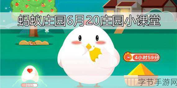 探秘蚂蚁庄园，解读久假不归之谜😜