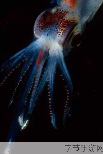探索水母发光之谜，8.13 神奇海洋答案揭晓😜