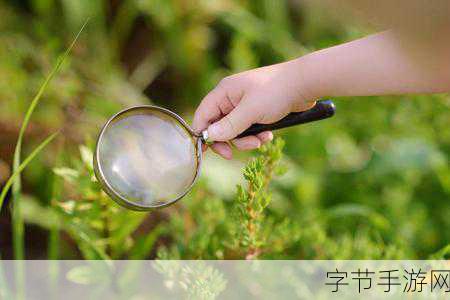 探索大自然，土地孕育之谜👀