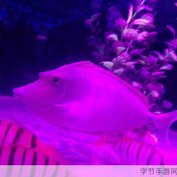 手游新视界,探索奇幻生物,紫色北极熊与海地长吻猬的奇妙之旅