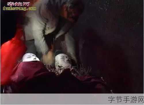 忍者之刃，极致攻略秘籍大揭秘😜