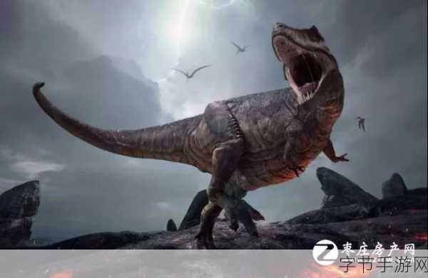 探秘三位一体，策略与技巧的盛宴😜