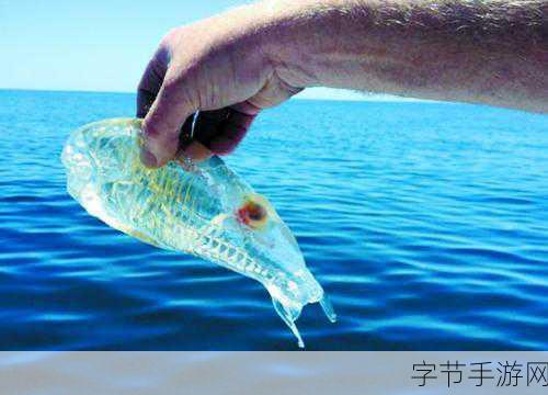 探索神秘鱼背世界，揭秘缇尔菈与食之契约的奇幻之旅