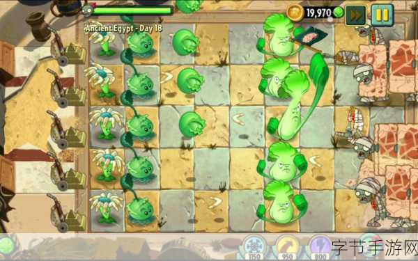 探索神秘植物世界，有毒植物远离室内😜