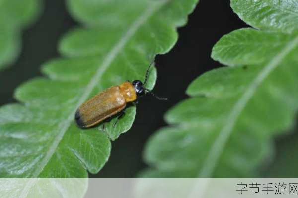 植物精灵终章攻略,探索神秘世界😜