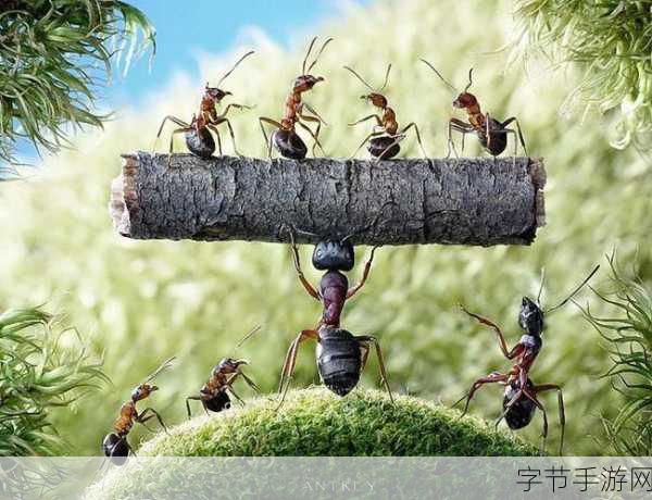 探索蚂蚁庄园,趣味与挑战并存