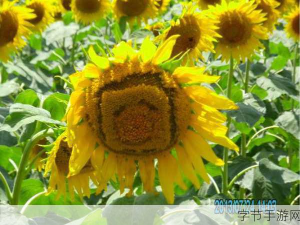 安卓马克思佩恩,勇闯第一章前五关😜