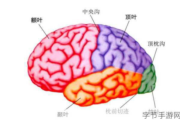 分裂之门2震撼来袭,三大派系能力全揭秘!