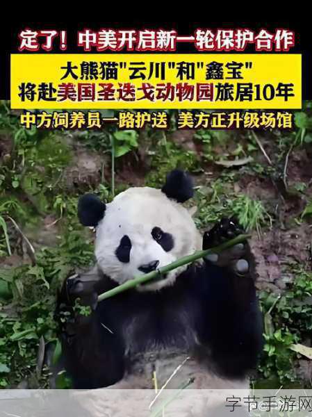 武动乾坤震撼揭秘，涅槃古墓府探险之旅正式启程！