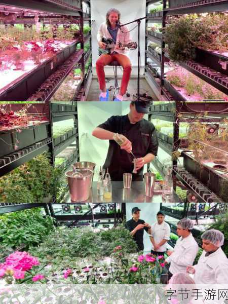 探索遗忘之地,揭秘全球濒危人种手游奇遇记