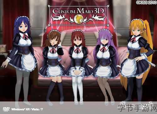 揭秘日本成人游戏新动向，内容健康化趋势下的另类探索