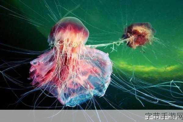 深海恐惧直击灵魂！海潮领域让你对鱼类敬而远之