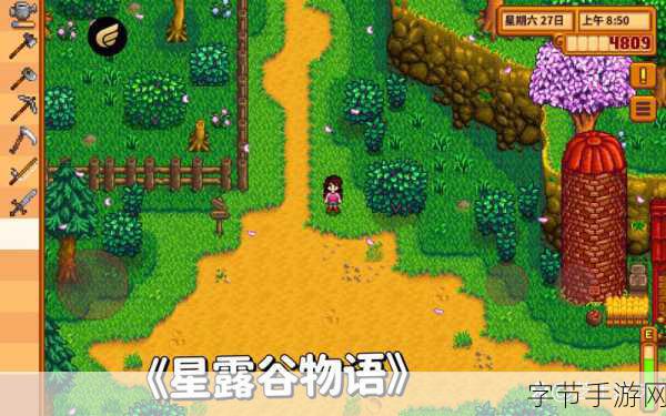 星露谷物语,双人共筑田园梦全攻略及技巧揭秘