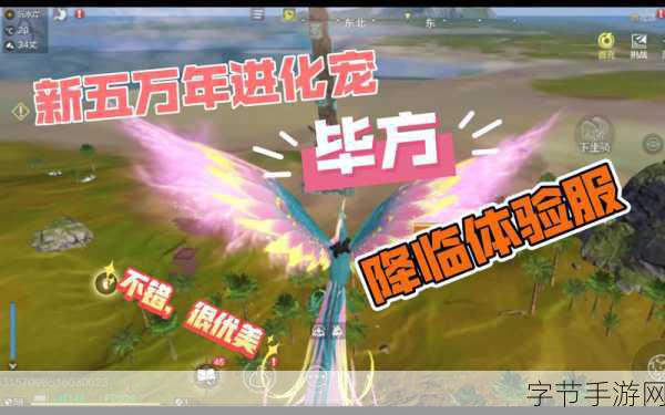 妄想山海毕方肩甲词条揭秘,打造你的专属防御神器
