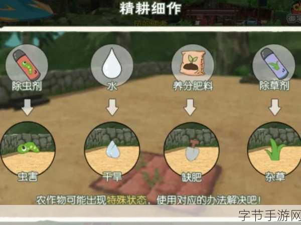 小森生活裁缝之路，解锁升级技能与知识的全面攻略
