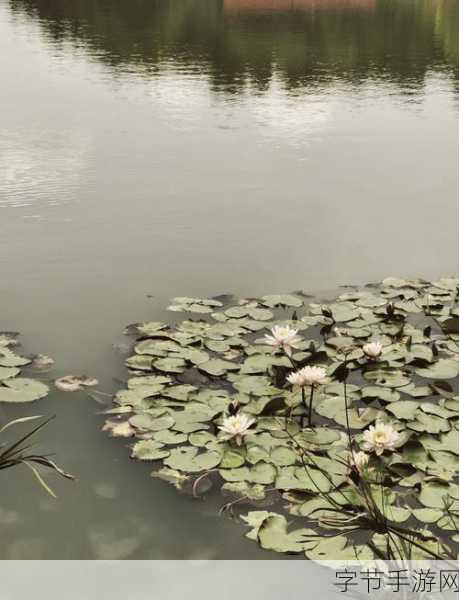 创造与魔法小龙虾垂钓圣地揭秘