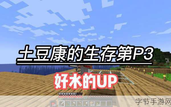 我的世界胡萝卜土豆获取全攻略,助你生存无忧!