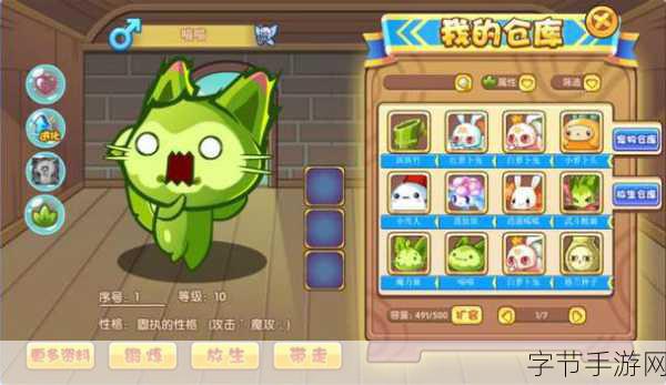 洛克王国清风山探秘，为何宠物不见踪影？