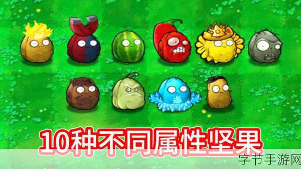 植物大战僵尸杂交版，坚果模仿者的神奇力量😜