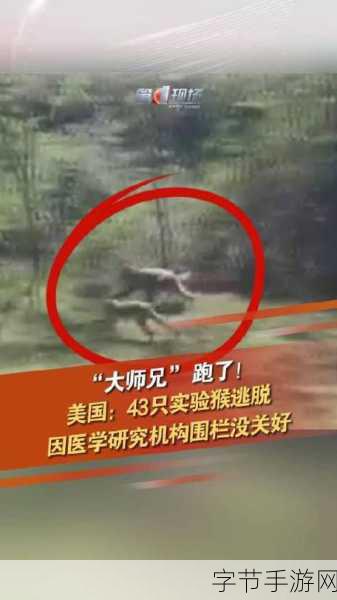 逃出实验室,心跳加速的极限跑酷冒险等你来战!