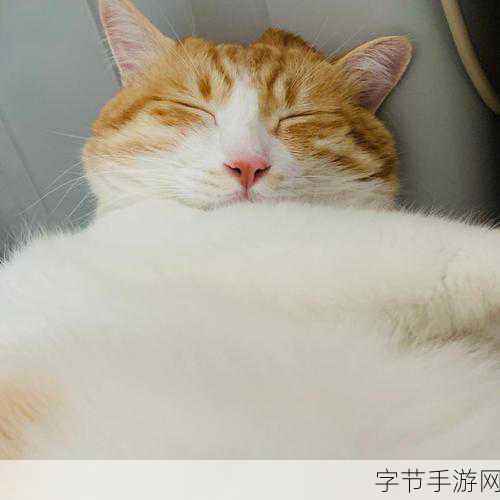 哼哼唧唧和哼哼叽叽的区别：探寻哼哼唧唧与哼哼叽叽之间的秘密与奇妙差异