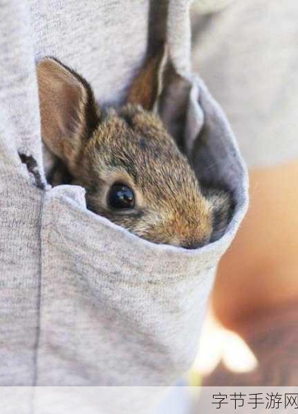 是不是男的都吃过女朋友的小兔兔：男友和女友的秘密游戏，谁偷吃了小兔兔的心？