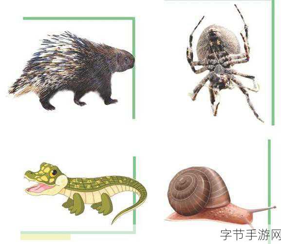 探索动物夏眠之谜,蚂蚁庄园的新发现😜